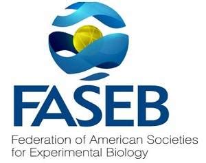 FASEB